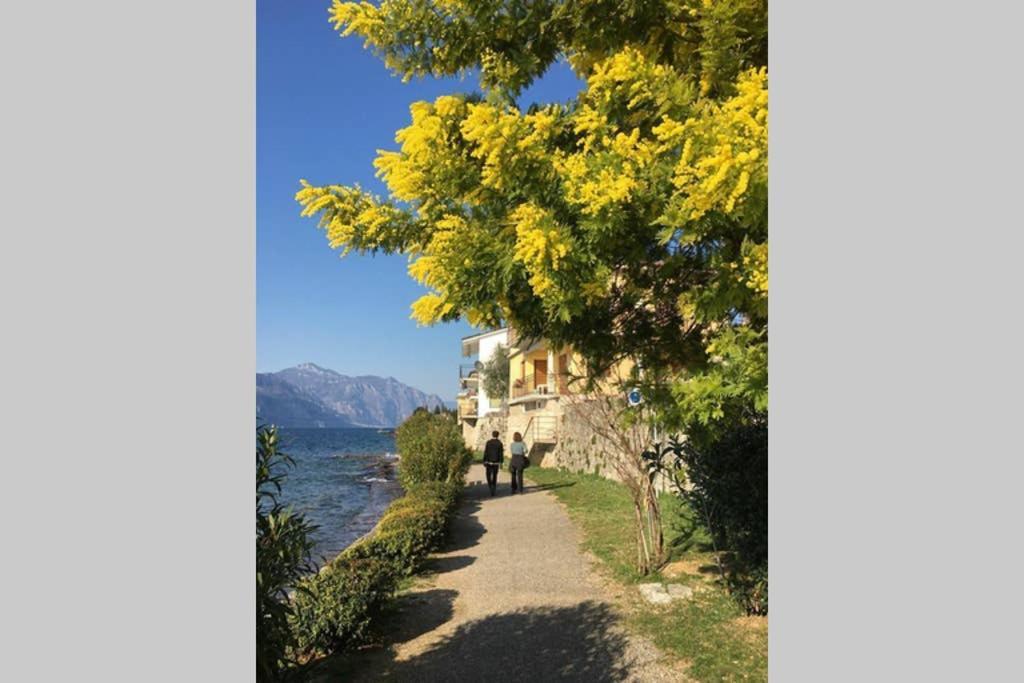 Villa Francesca-Grande Appartamento In Riva Al Lago Brenzone sul Garda Luaran gambar